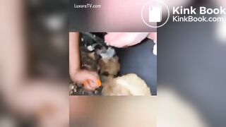 Filthy Porta Potty Shit Eating Whore