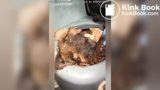 Filthy Porta Potty Shit Eating Whore