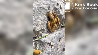 Lilly Vig poop play with friend