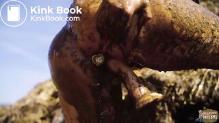 Rada Brewer Bucket Trap - falling in cowshit