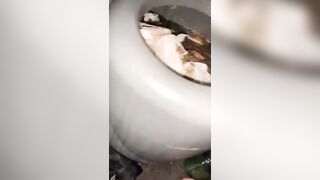 Whore Force Fed Shit From A Filthy Porta Potty