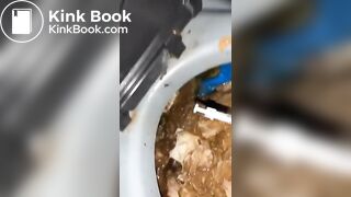 Whore Force Fed Shit From A Filthy Porta Potty