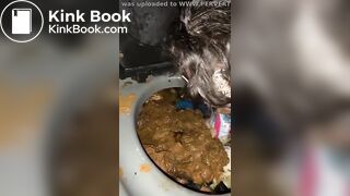 Whore Force Fed Shit From A Filthy Porta Potty