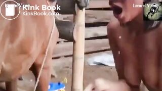 Most Extreme Filthy Dirty vid Collection