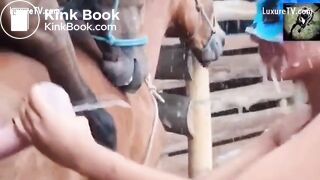 Most Extreme Filthy Dirty vid Collection