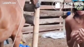 Most Extreme Filthy Dirty vid Collection