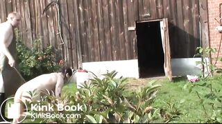 United Pigs - Delicti