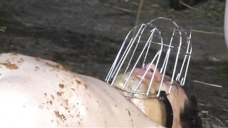 United Pigs - Delicti