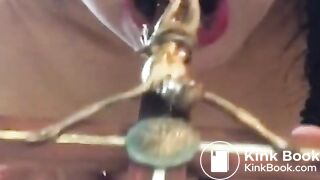 SCATOFAN WORSHIP - AVE SATANAS