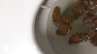 Nigger shitting at work