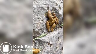 L1lly V1g Poop Play With Friend