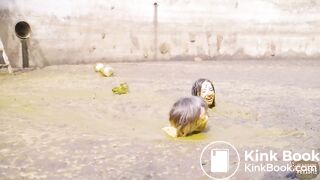 Manure Party Pit - Lyndra Lynn Rada Brewer