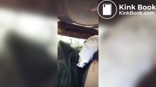 Getting shat on bad quality sorry