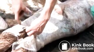 Scatfotze in the bog