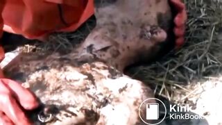 Scatfotze in the bog