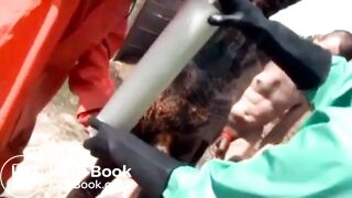 Scatfotze in the bog