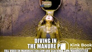 Diving in the maure pit full of cowshit