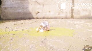 Diving in the maure pit full of cowshit