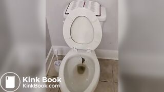 Cleaning my toilet with the bible  HAIL SATAN!