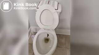 Cleaning my toilet with the bible  HAIL SATAN!