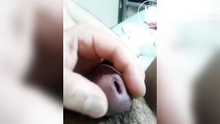 exhibitionist????Manabu's room????????????