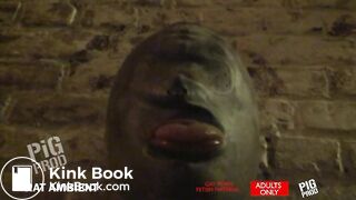 Scat Dungeon Rubber Pigs