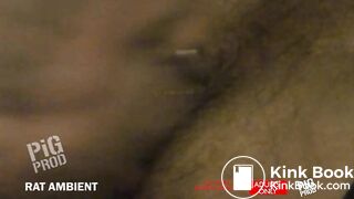 Scat Dungeon Rubber Pigs