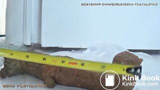 Sexyflatulence-monster log