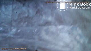 Sexyflatulence-monster log