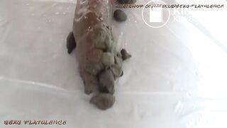 Sexyflatulence monster 2