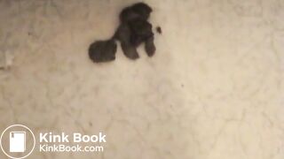 Mila shitting huge log