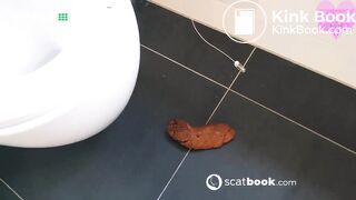 Kitty skatt massive log while squatting on toilet