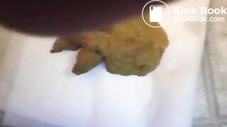 my biggest morning pile!