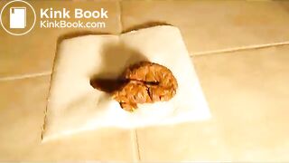 Shitting 9-5-2011 Thick Corndog Log
