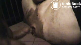 VTS_32aa_1_mpeg2video
