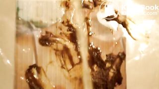 Kassandra - Pee tribute