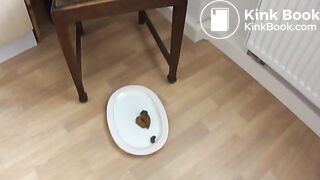 Ich scheisse vom Küchenstuhl