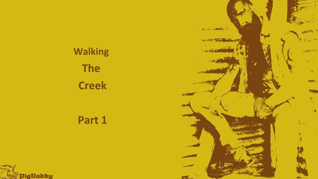 Walking The Creek Pt 1