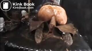 Dirty Pig in a new scat movie on drugs and poppers