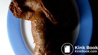 Me shitting in an oval plate (without sound)