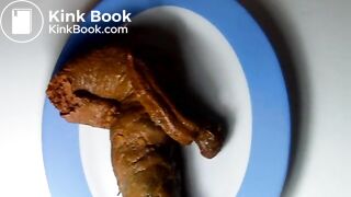 Me shitting in an oval plate (without sound)