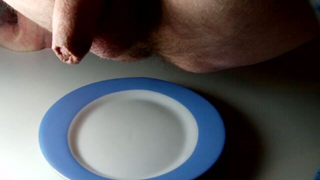 Me shitting in an oval plate (without sound)
