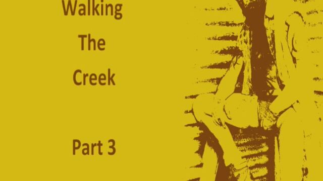 Walking The Creek Pt 3