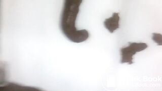 Shitting a big fat turdate it later!