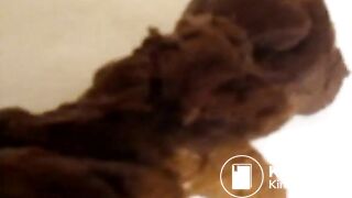 big thick dry shit logs 1-18-2013