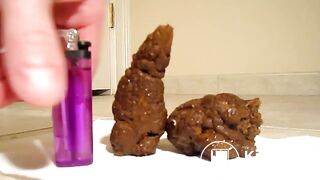 4-10-2013 Two thick small log chunks