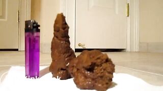 4-10-2013 Two thick small log chunks