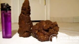 4-10-2013 Two thick small log chunks