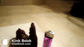 4-10-2013 Two thick small log chunks