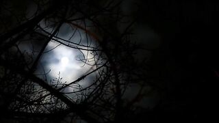 werewolf with huge cock makes me squirt and cums in my mouth
